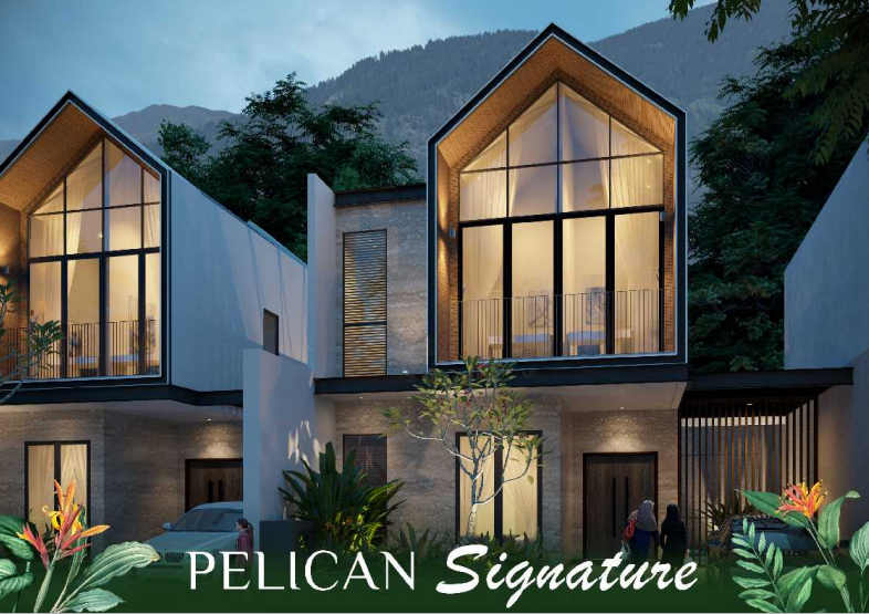 Nilaya - Pelican
