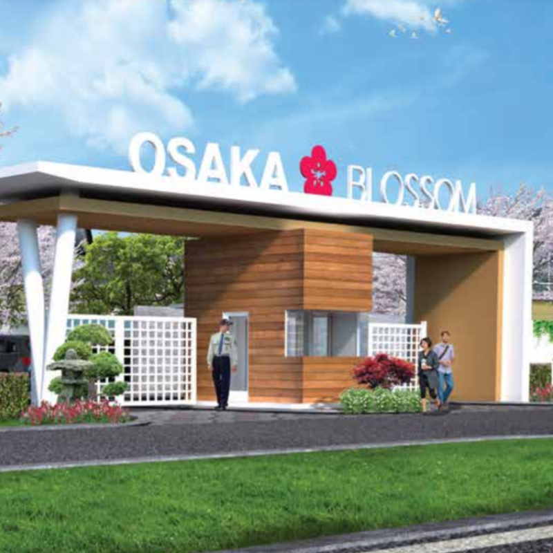Osaka Blossom