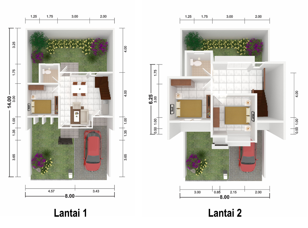 Layout Viola