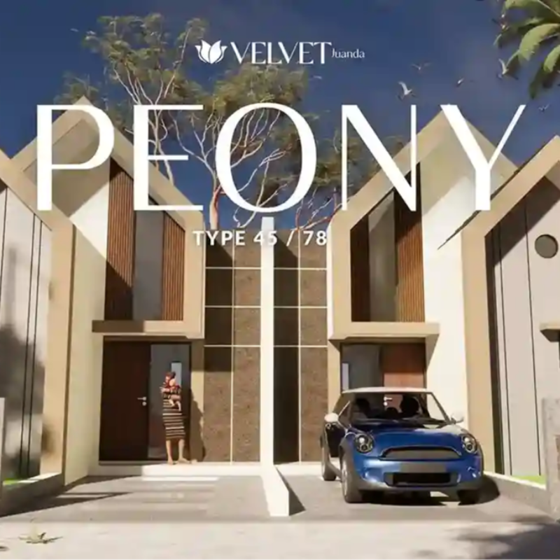Velvet Juanda - Peony