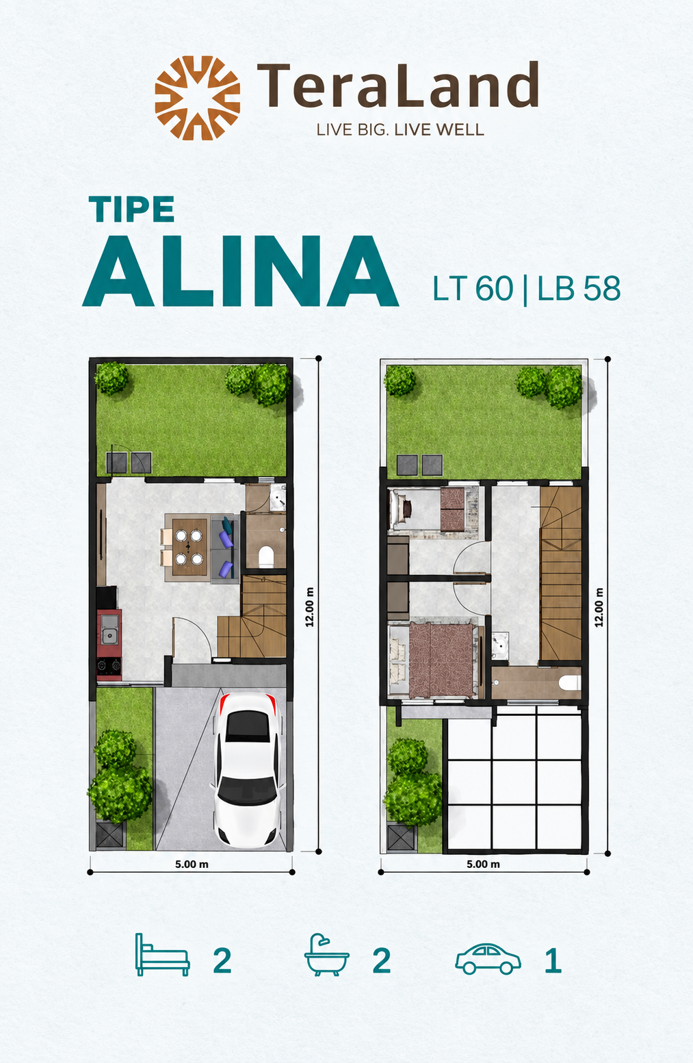 Layout ALINA