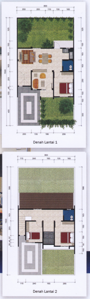 Layout Dandelion