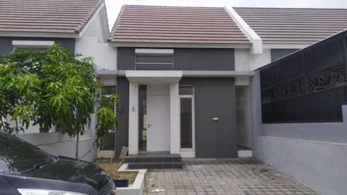 Grianan Agung - Edelweis