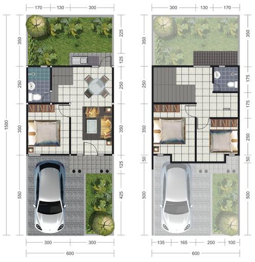Layout Nitida