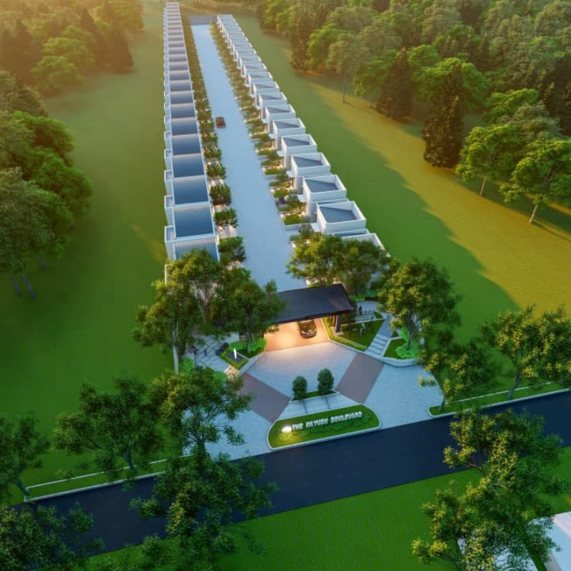 The Kayush Boulevard