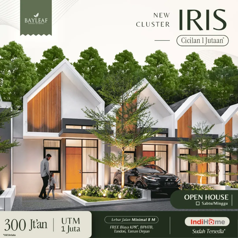 NEW CLUSTER IRIS