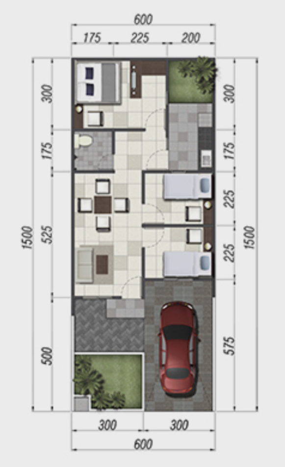 Layout Davalia