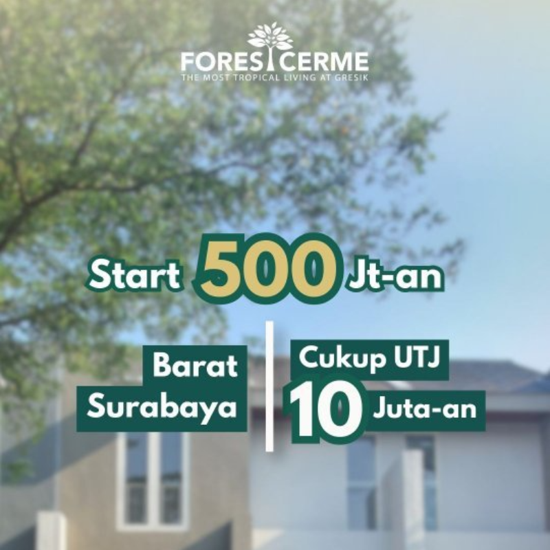 picture of Barubaru PROMO