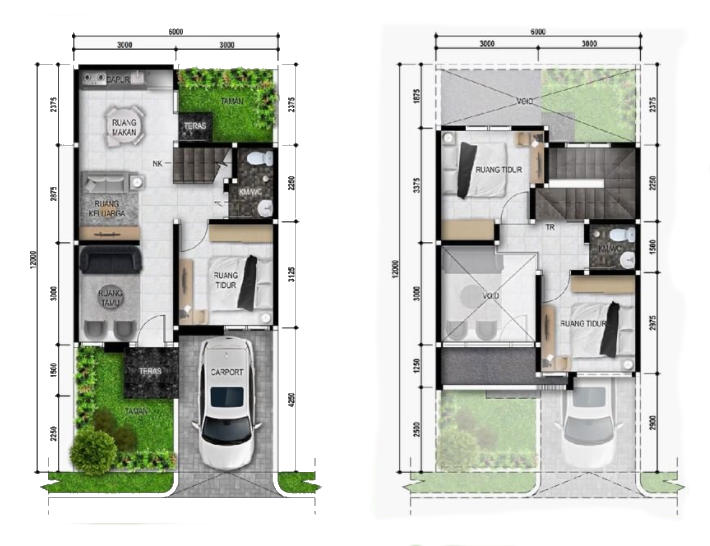 Layout Shafa