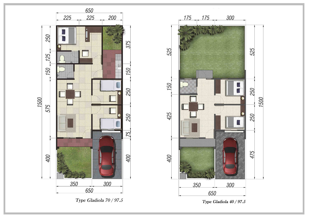 Layout Gladiola