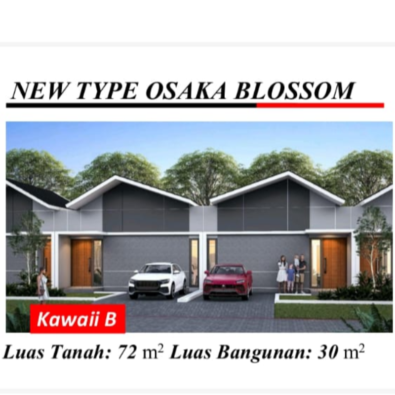 Osaka Blossom - KAWAI B