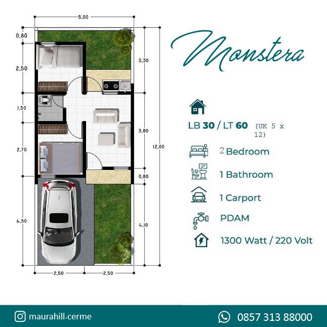 Layout Monstera
