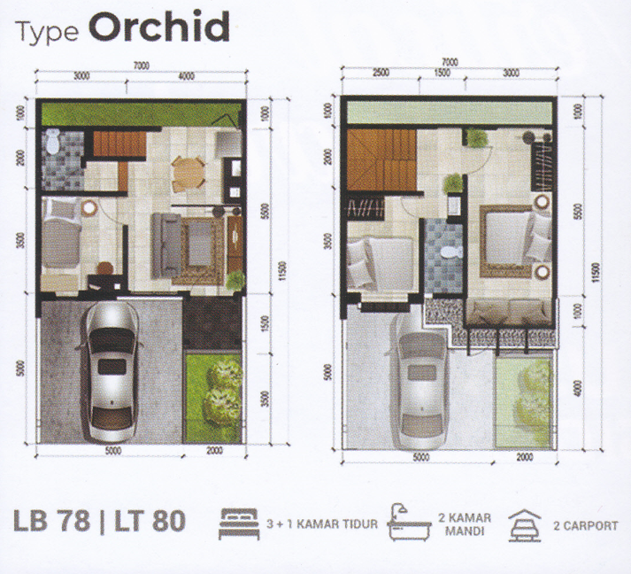Layout Orchid