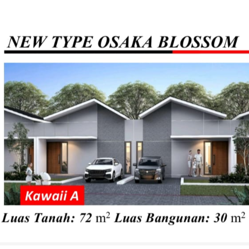 Osaka Blossom - KAWAI A